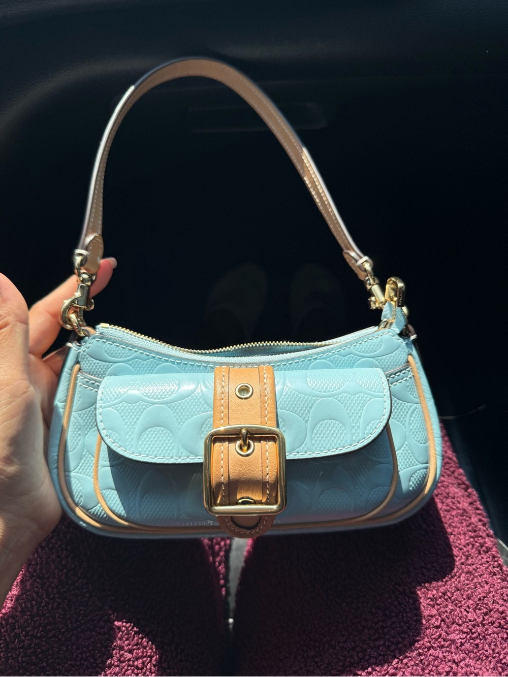 Coach Ashton Mini Shoulder Bag